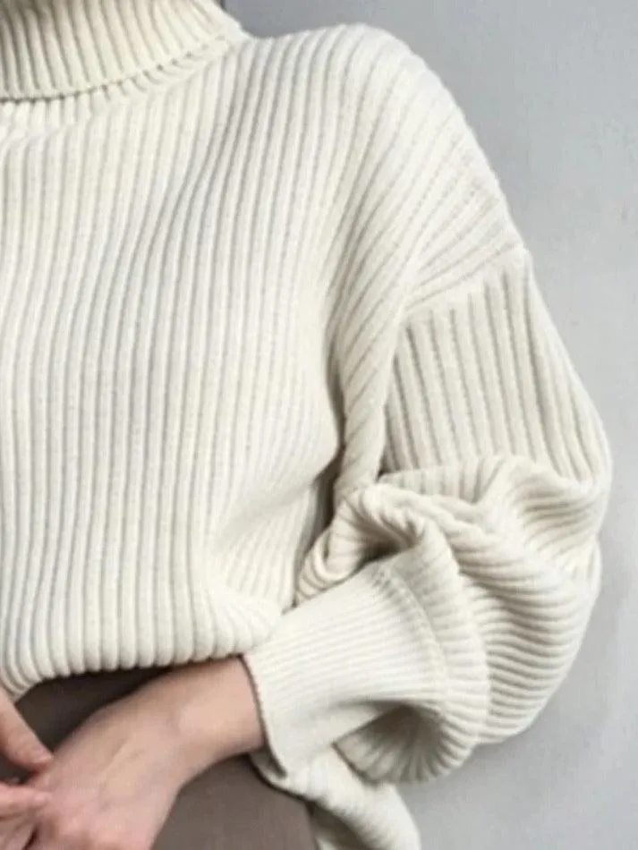 Back To School Sonicelife Solid Turtleneck Ribbed Knit Sweater