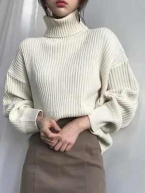 Back To School Sonicelife Solid Turtleneck Ribbed Knit Sweater