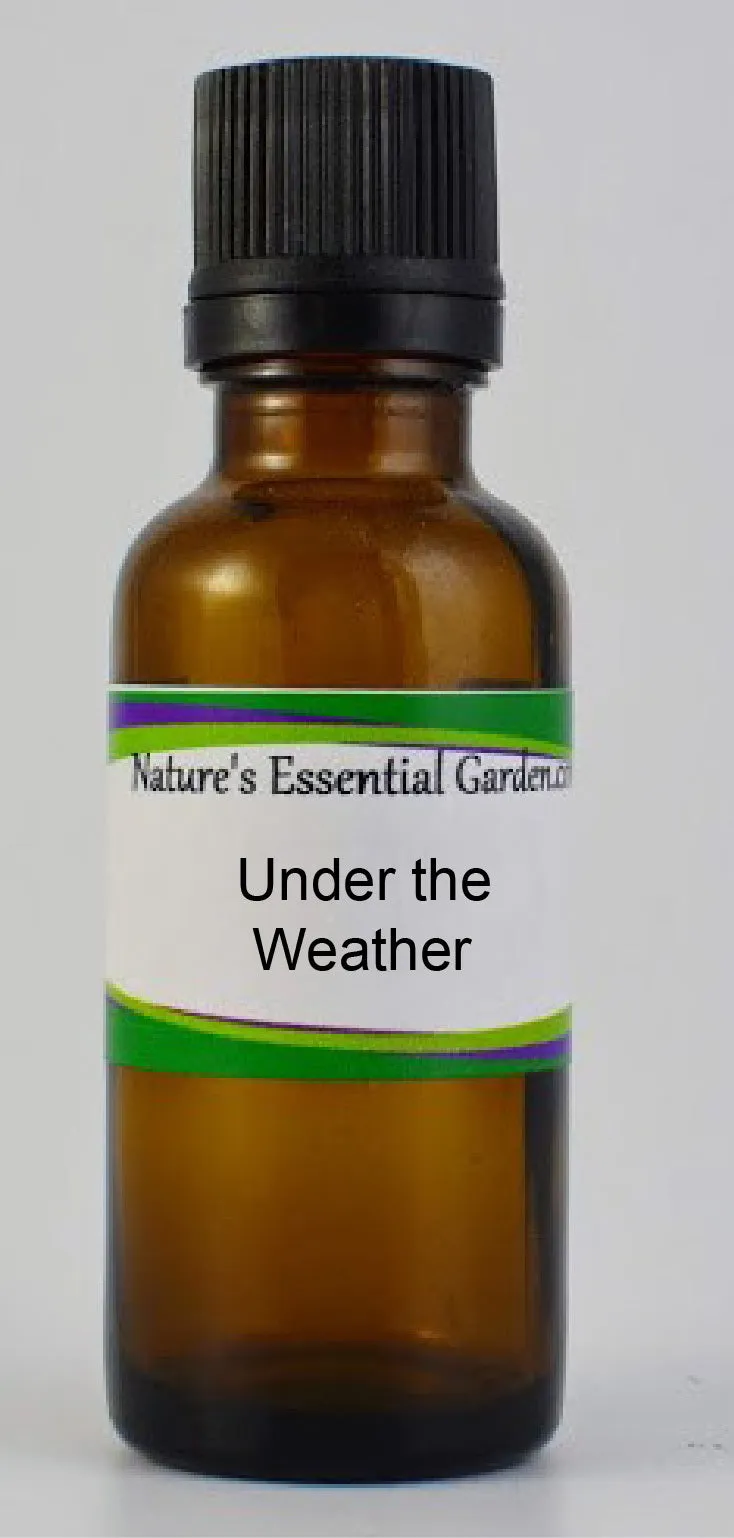 Nature's Essential Gardens - Oils