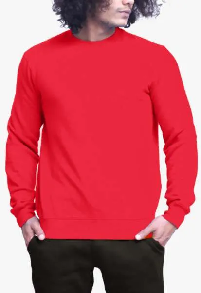 Premium Crewneck Sweatshirt 2601 | Circle Clothing