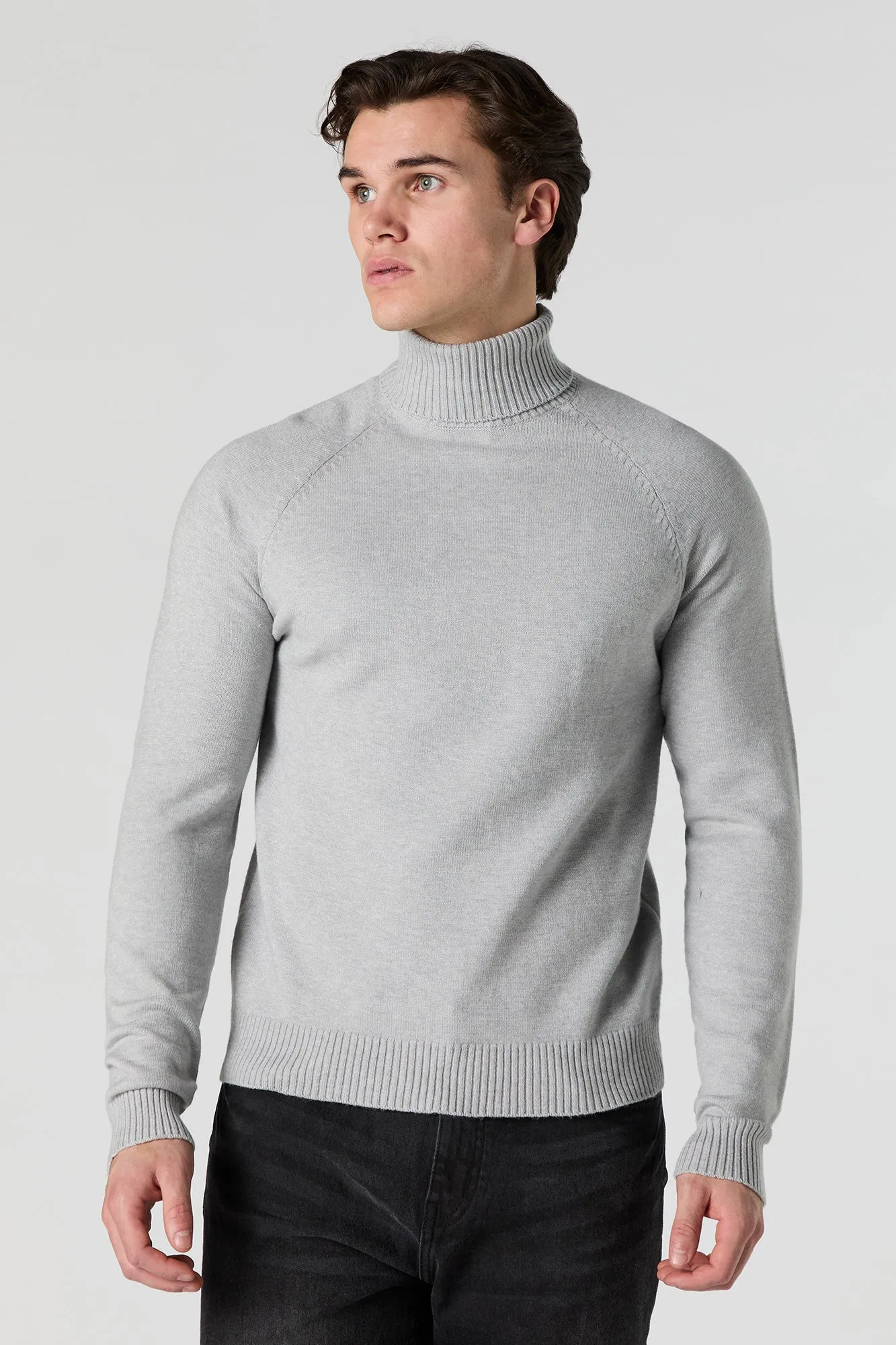 Solid Turtleneck Sweater