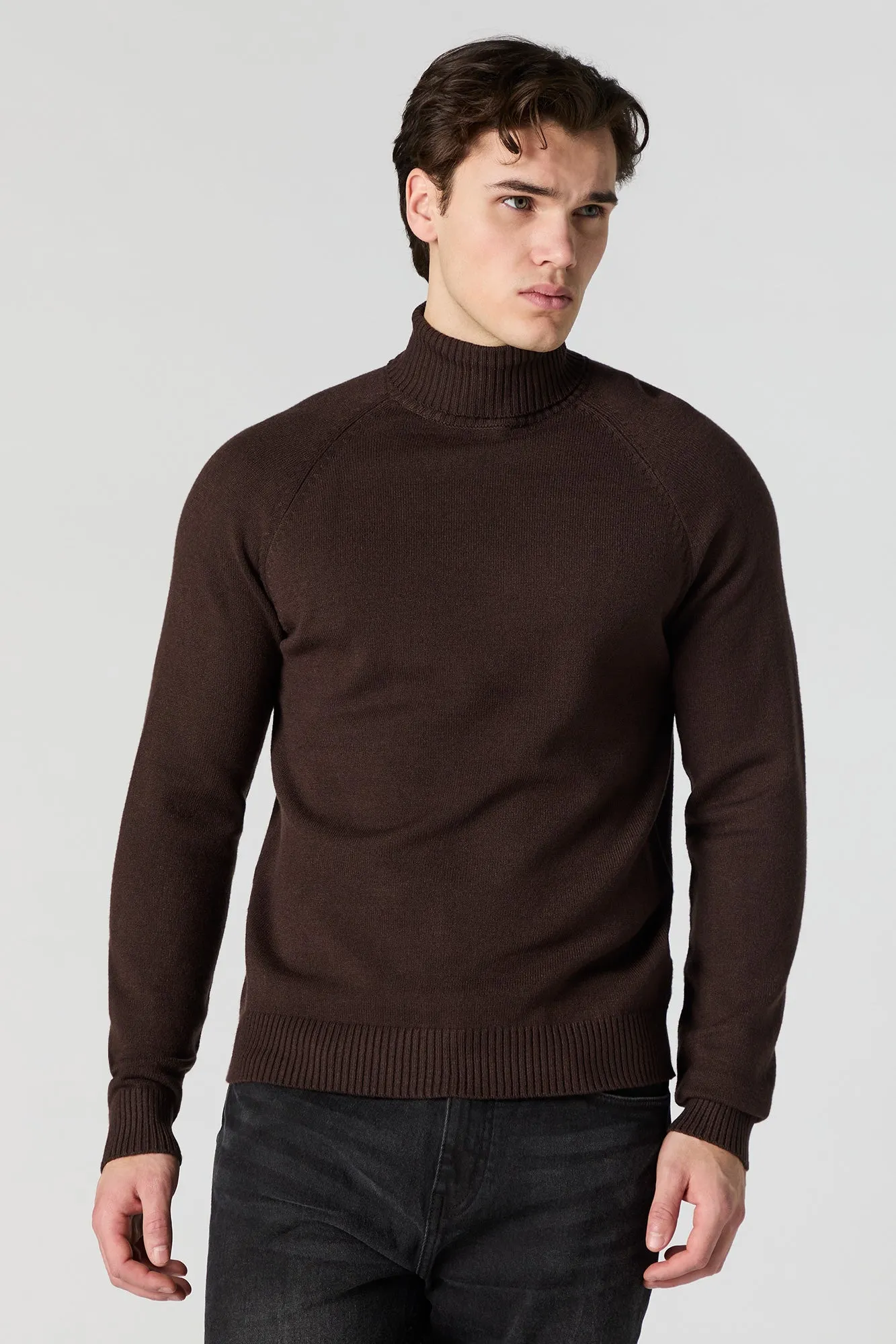 Solid Turtleneck Sweater