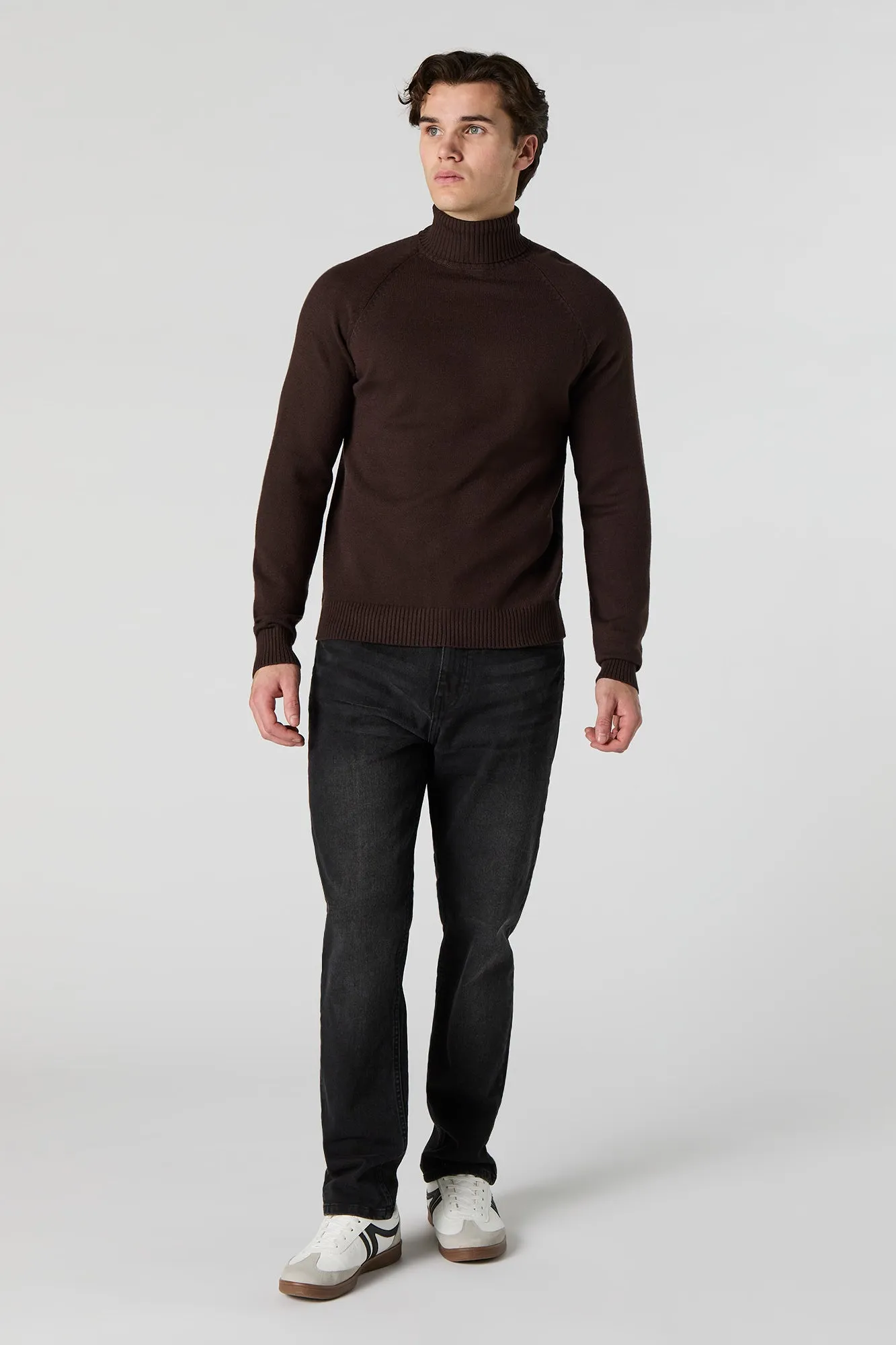 Solid Turtleneck Sweater