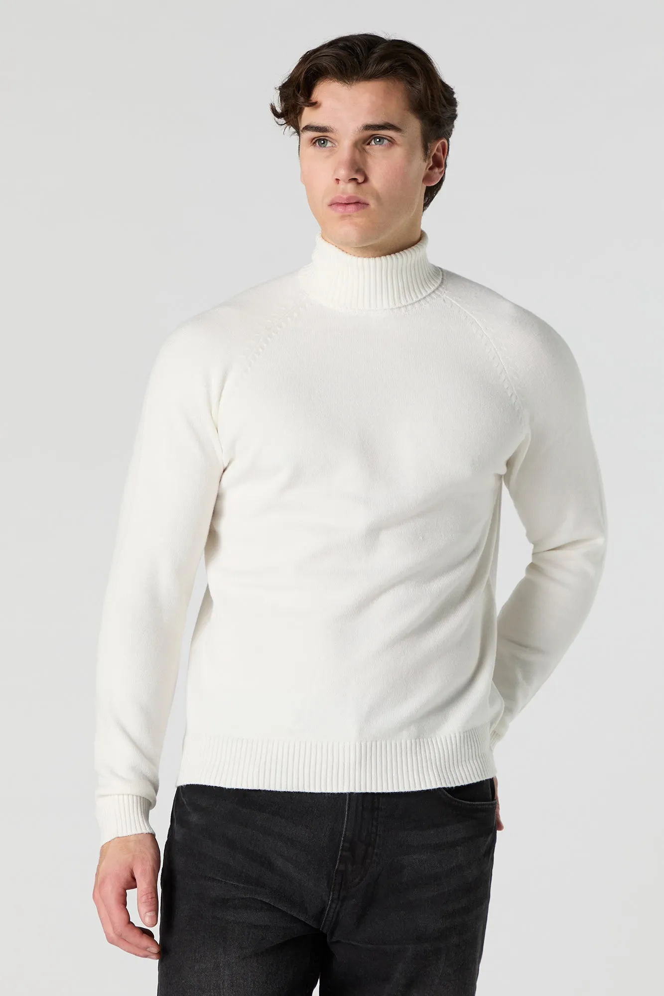 Solid Turtleneck Sweater