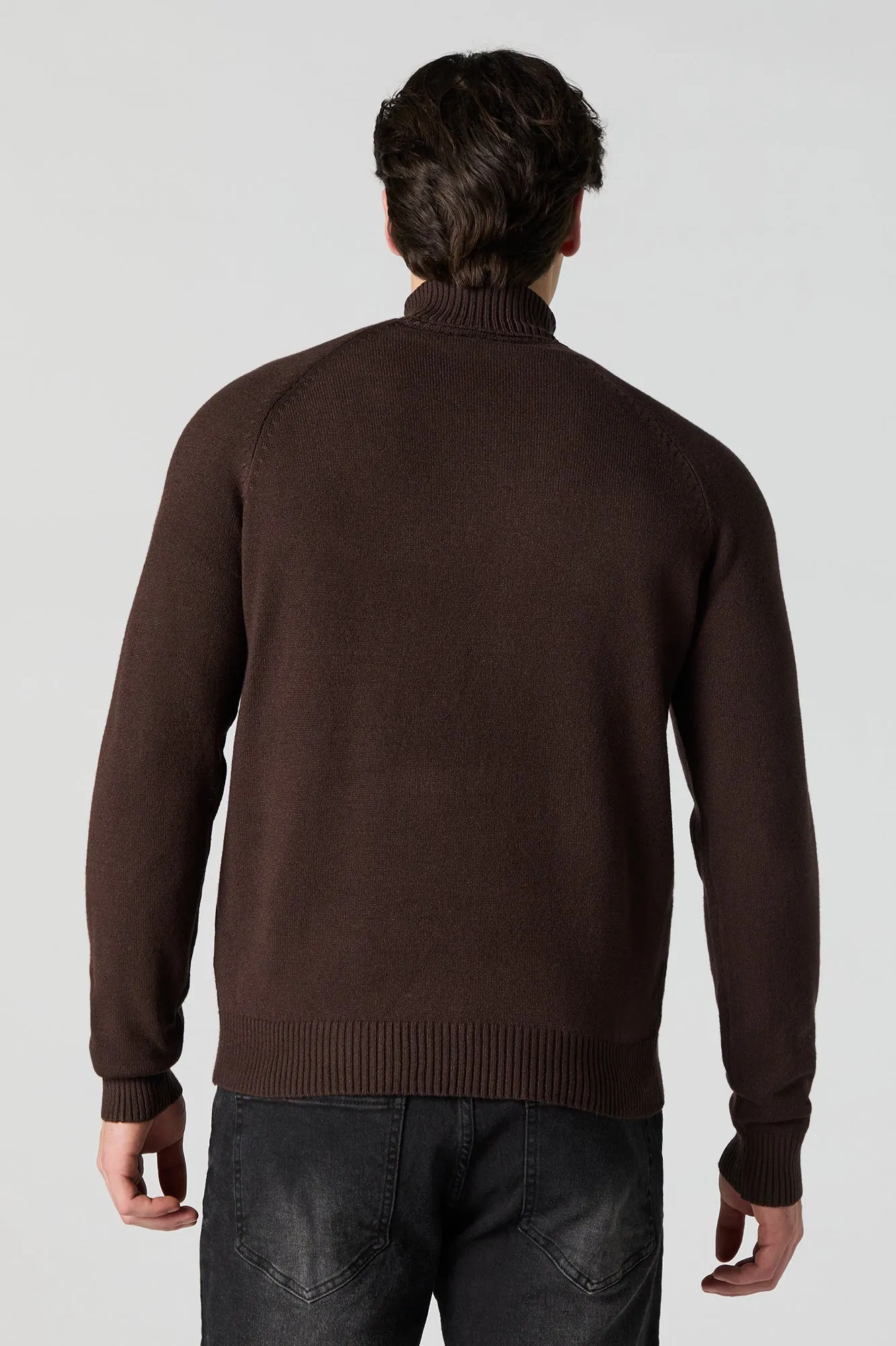 Solid Turtleneck Sweater